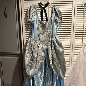 Cinderella Costume